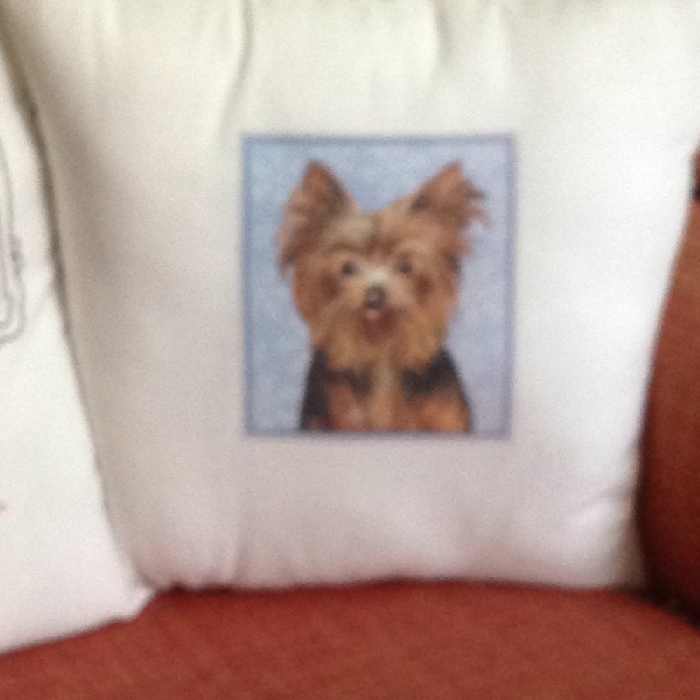 Meet your Posher, Joy